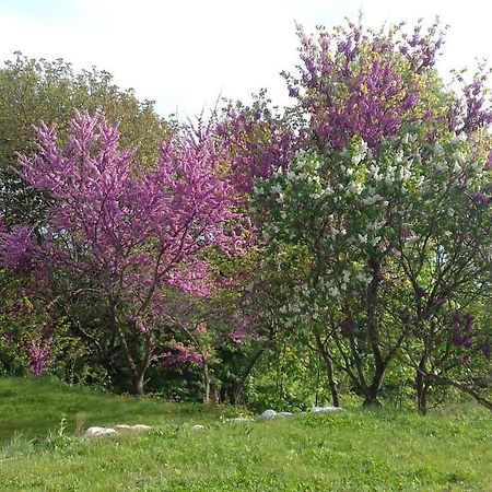 Residence Du Chateau Copponex Dış mekan fotoğraf