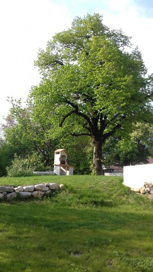 Residence Du Chateau Copponex Dış mekan fotoğraf